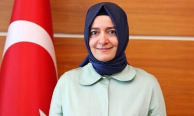 Eski bakanın elektrik mühendisi kardeşini büyükelçi yaptılar!.