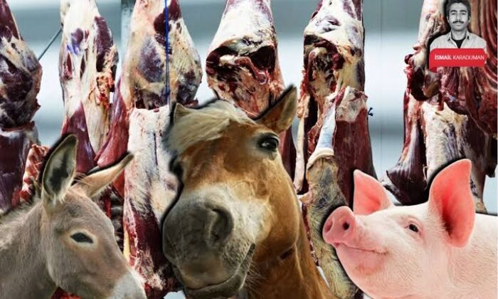 Türkiye’ye gelecek at, eşek ve domuz etine sıfır vergi kanunu TBMM’den geçti!.