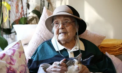 “Başörtüsünü Sümerlerli Fahişeler Takardı” diyen Şey için hesap vakti!.