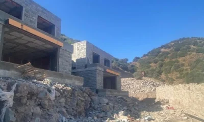 Çevreci Suavi villalarını yapmak için ağaç katliamı yaptı!.