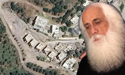 Suavi’nin ağaç katliamı pahalıya patladı!.