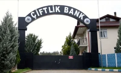 Tosuncuk’tan mahkemeye itiraf mektubu!.