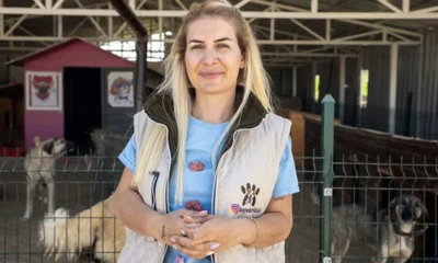 Sokak köpekleri topladığı paralarla oto galeri açıp estetik ameliyatlar olmuş!.