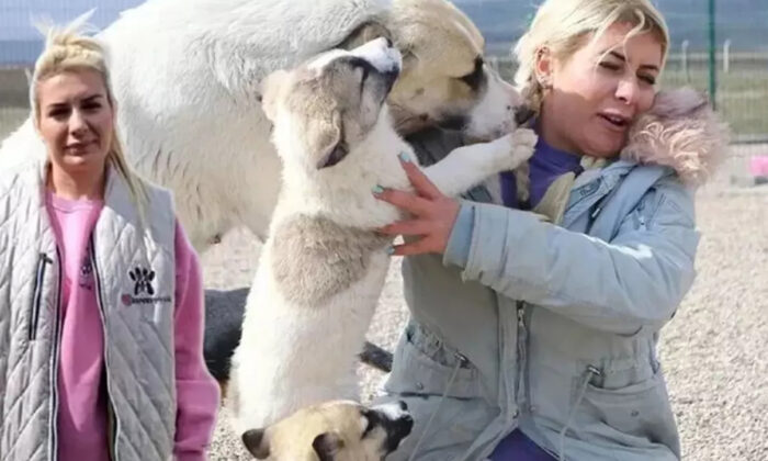 Sokak Köpekleri üzerinden vurgun yapan Buket Özgünlü tutuklandı!.