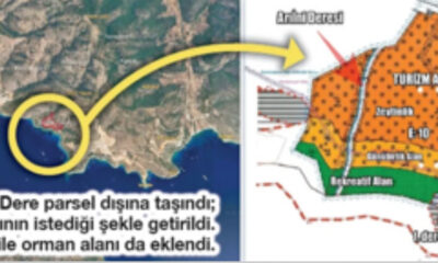 Akp yanlısı iş insanı zeytinliğe imar istedi, CHP’li belediye kitabına uydurup onayladı!.