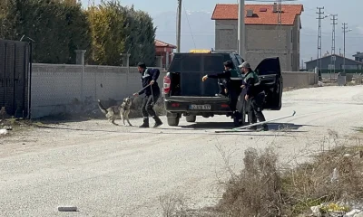 Çocuk parçalanarak ölünce itperestlere gık diyemeyen beyler sokak köpeklerini toplamaya başladılar!.