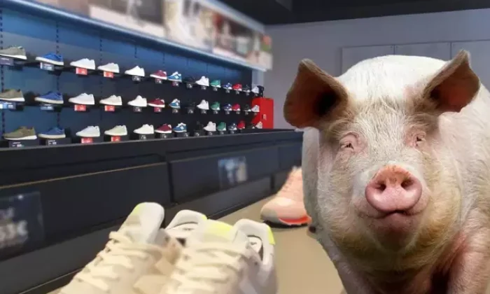 New Balance ayakkabılarında domuz derisi skandalı!.