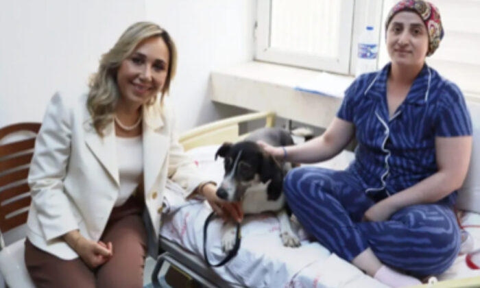 Sokak köpekleri ile kanser hastalarını ziyaret eden AK Partili vekile tepkiler çığ gibi!.
