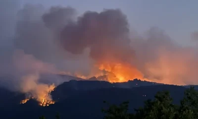 Eskişehir’deki orman yangınında 10 işçi şehit oldu!.