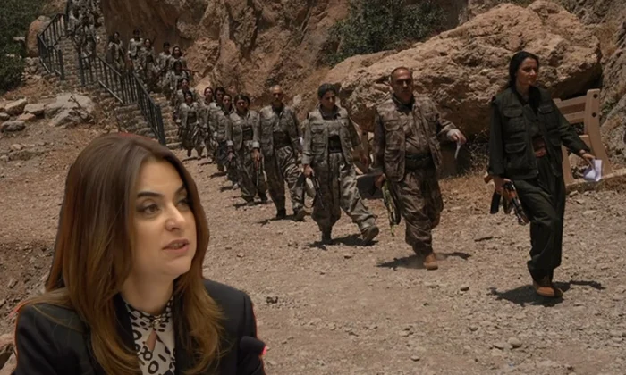 DEM Parti’de Terörsüz Türkiye rahatsızlığı!.