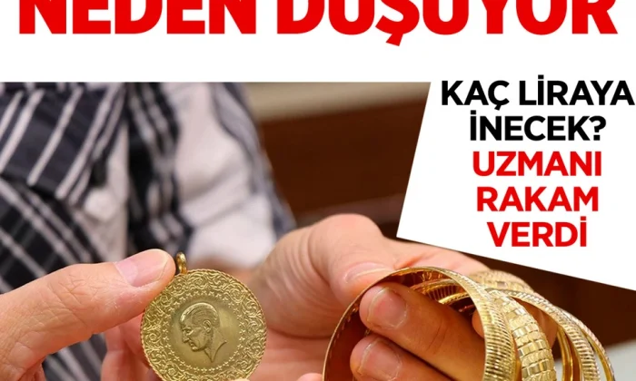 Altın fiyatları neden düşüşe geçti..