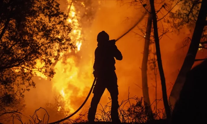 Orman yangınlarında hayatını kaybedenler şehit sayılacak..