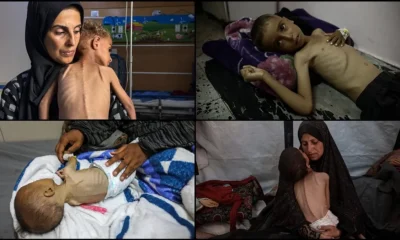 Kahpe İsrail’in Gazze’deki soykırımı ikinci yılında!.