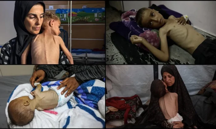 Kahpe İsrail’in Gazze’deki soykırımı ikinci yılında!.