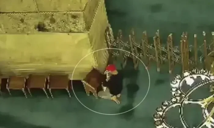 Ayasofyayı yakmaya çalışan alçak pişman değilmiş!.