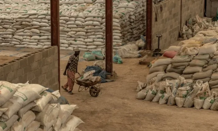 New York Times: Dünya Gıda Krizi ile Karşı Karşıya Kalacak..