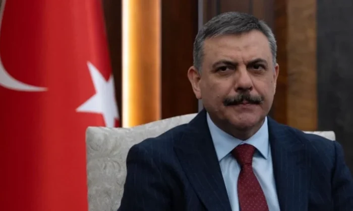 Bakan Çiftçi yılbaşına kadar başıboş sokak köpeklerinin tamamen toplanacağını açıkladı