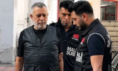 DEM Parti tetikçilik yapan sokak itlerine ceza verilmesine karşı çıktı!.