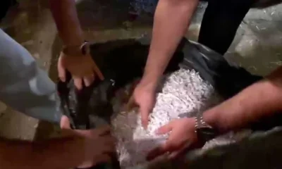 Süleymancıların Ümraniye’deki polis operasyonuna neden direndikleri ortaya çıktı!.