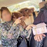 İyi Parti Lütfü Türkkan’ın yargı mensupları ile karıştığı rüşvet skandalı patlak verdi!.